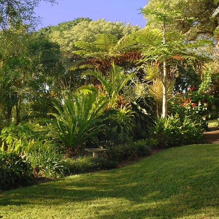 St Lucia Eco Lodge Exterior photo