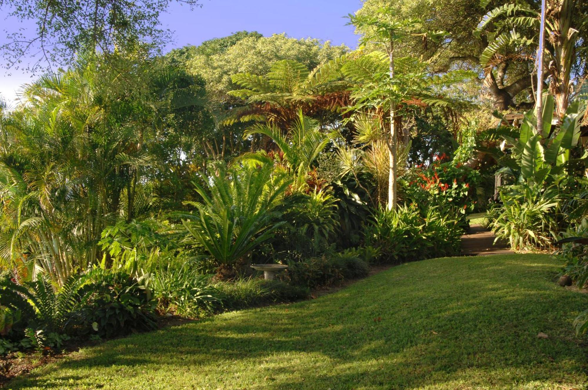 St Lucia Eco Lodge Exterior photo